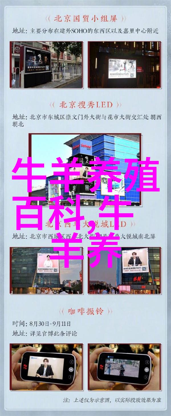 鲁梅克斯K-1喂水牛效果好