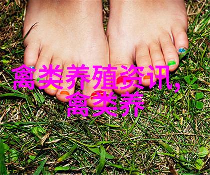 谁来为养鸽子大户解难题