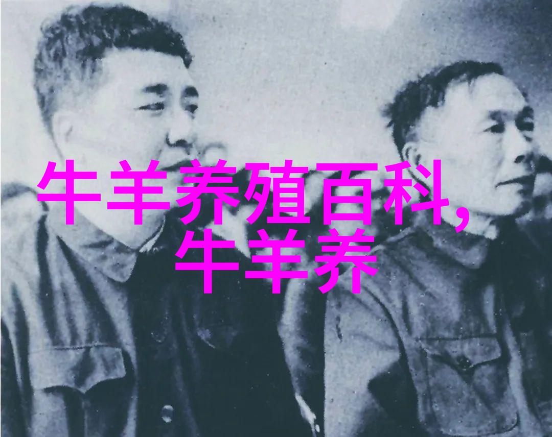 肉牛必需的六大营养物质