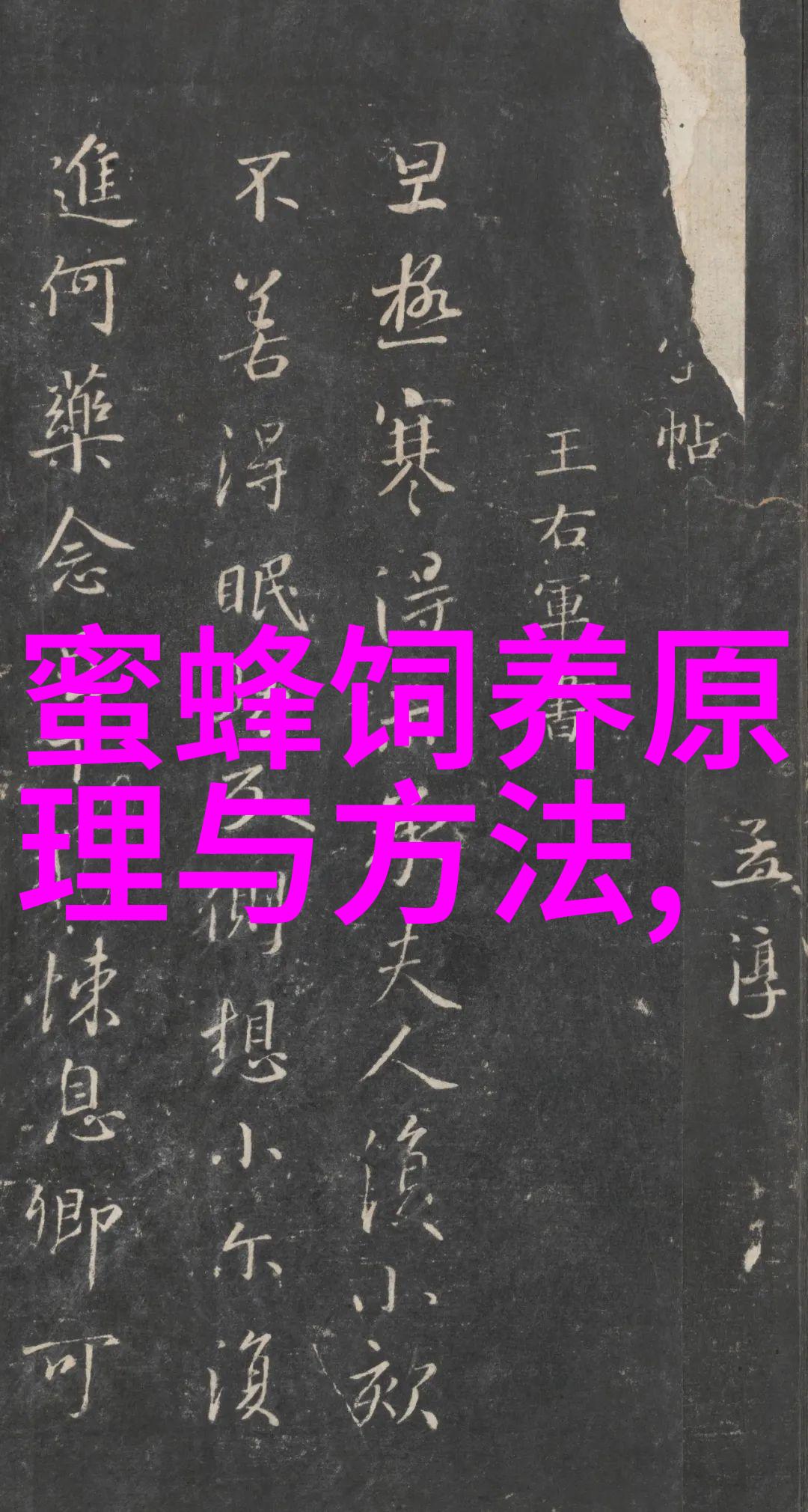 蜜蜂的活动周期迅速发展时期