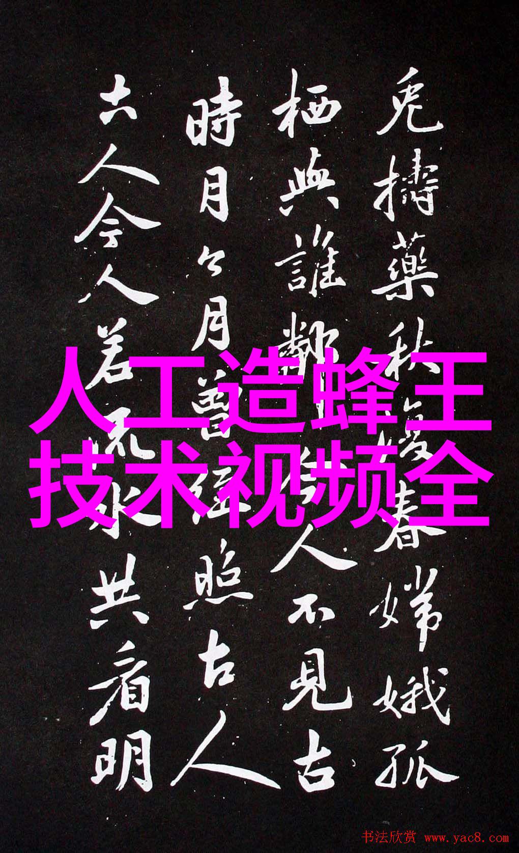 蜜蜂春繁的新技术