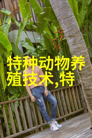 鸵鸟饲养简介