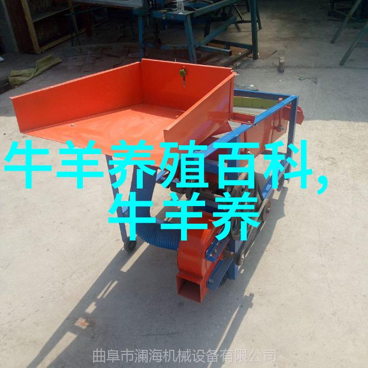 规模养羊的十字诀