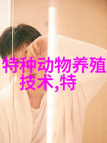 高效养狐技术