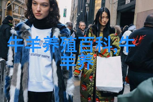 肉牛好育肥科学生产