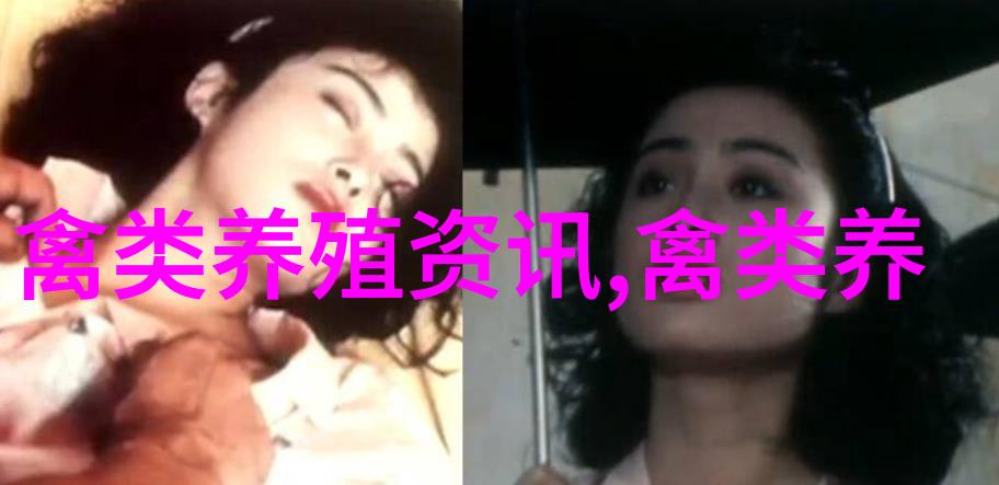 鹅可致富2018年养殖缺口
