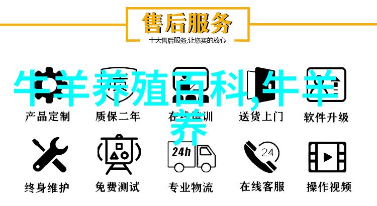 羊无夜草也不肥