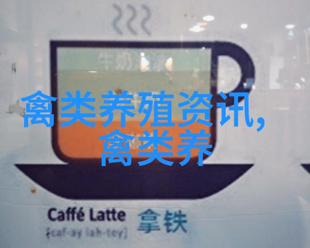 顶搭鸽笼养鸽子