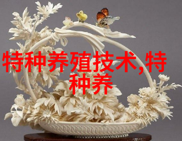 鸵鸟胃阻塞的治疗