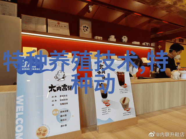 黑眉锦蛇