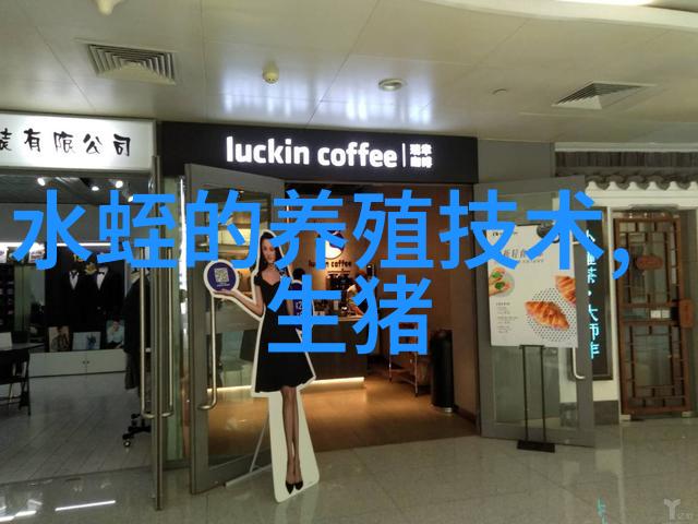 视频高效持久生物除臭消毒剂在规模养殖场激活和喷洒操作技术