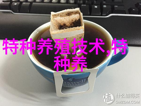 饲养日本狐狸犬