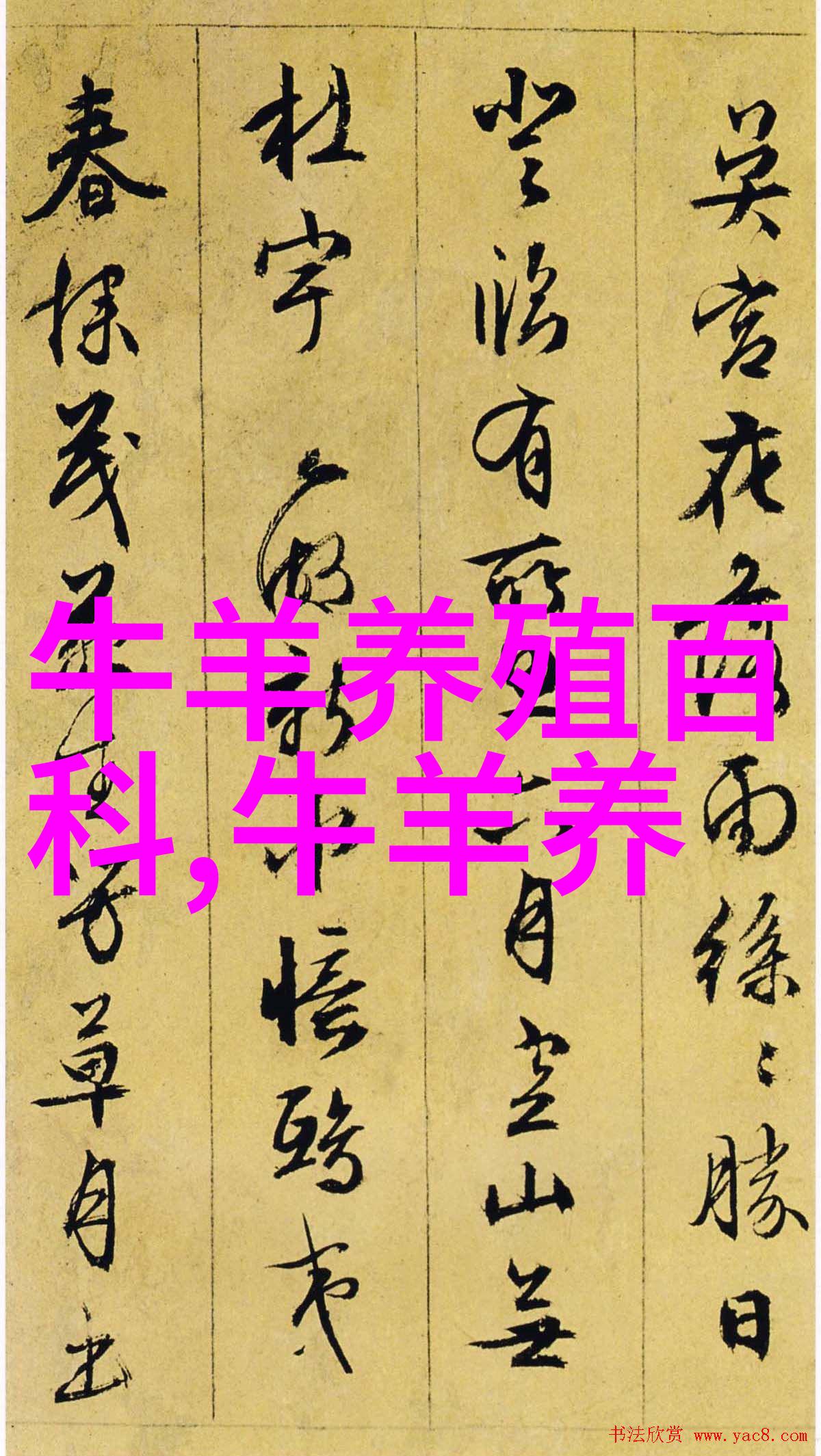 肉牛圈养育肥小窍门