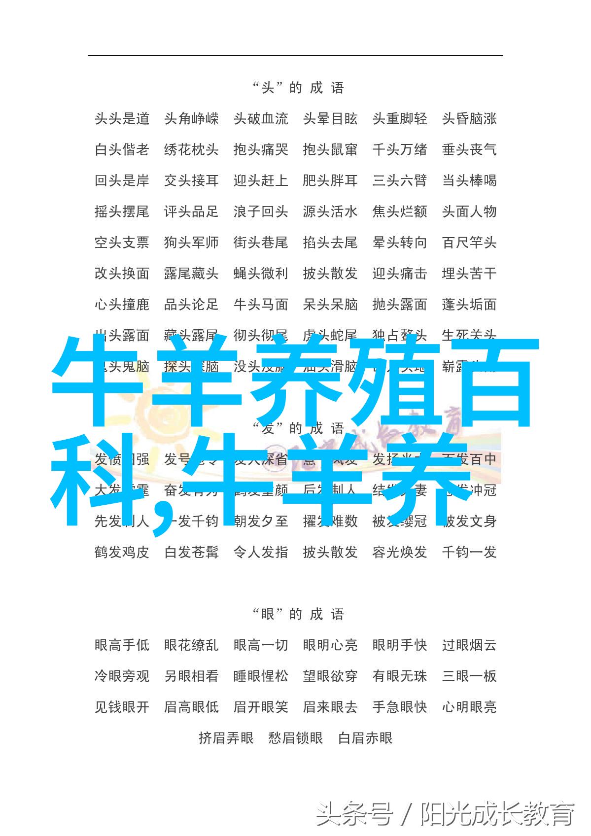 给小尾寒羊洗胃的措施