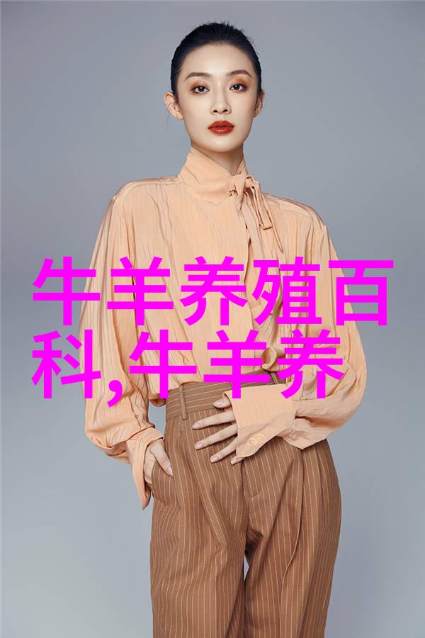 肉牛育肥饲养管理的要点