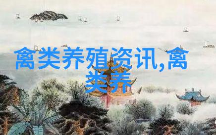 靠珍稀火鸡赚钱的黄井凤