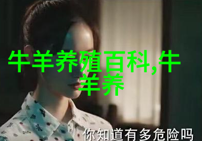用大豆皮代替日粮中部分玉米对提高奶牛产奶量和乳脂率会有促进作用