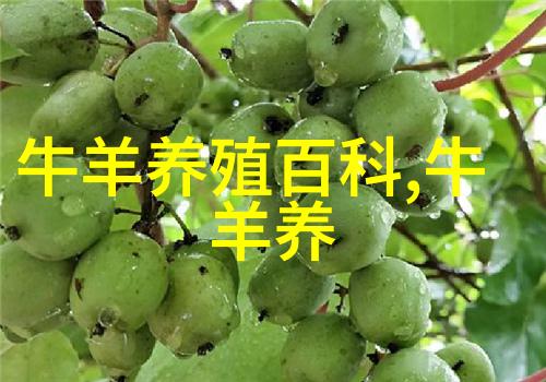 肉牛肺炎与结核病咋防治
