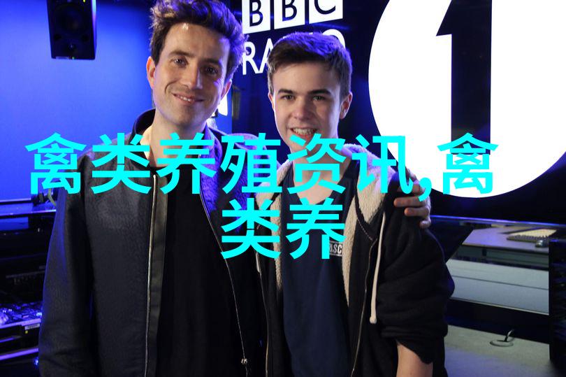 鸽子的营养价值