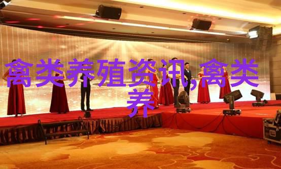 饲养肉鸽十字诀