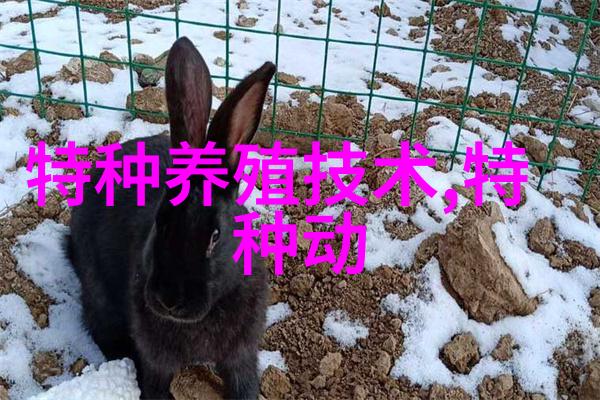 赤链蛇的越冬情况怎样