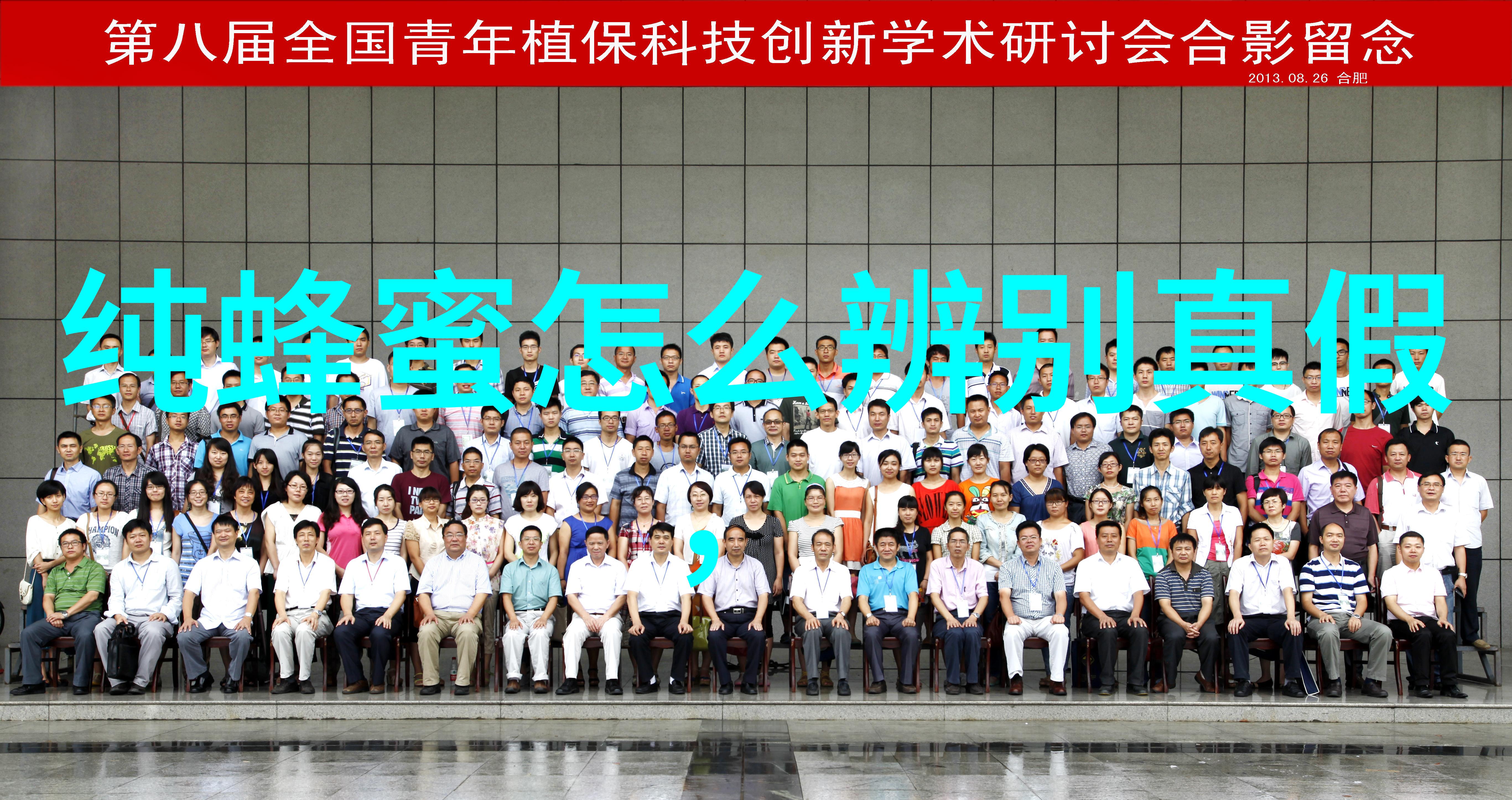 过箱后如何管理蜂群