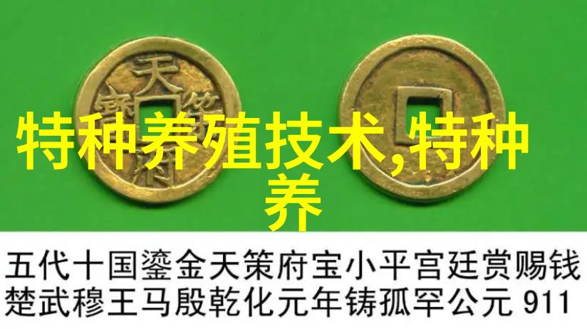 饲养晚秋蚕要点