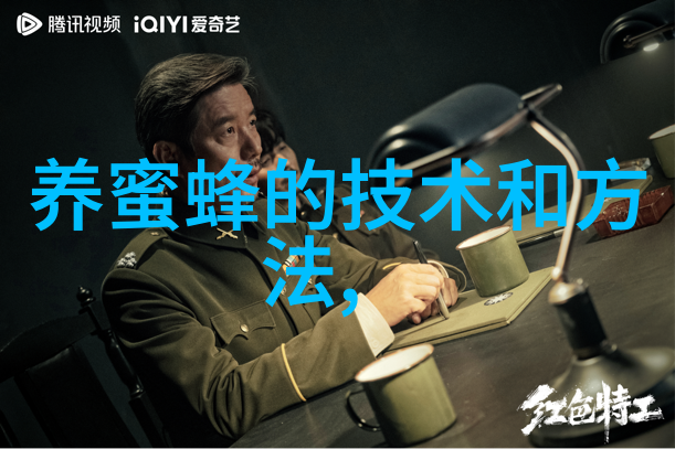 蜜蜂如何安全度夏
