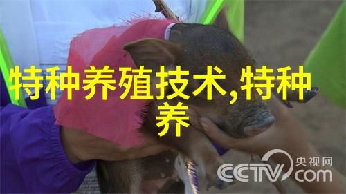 鸵鸟常见病及防治