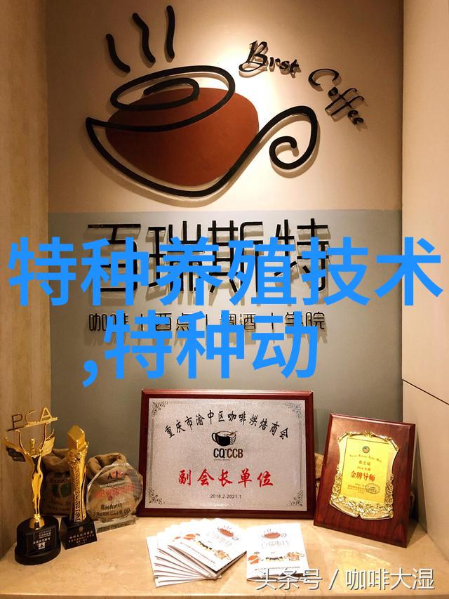 集约式养殖林蛙分几种模式