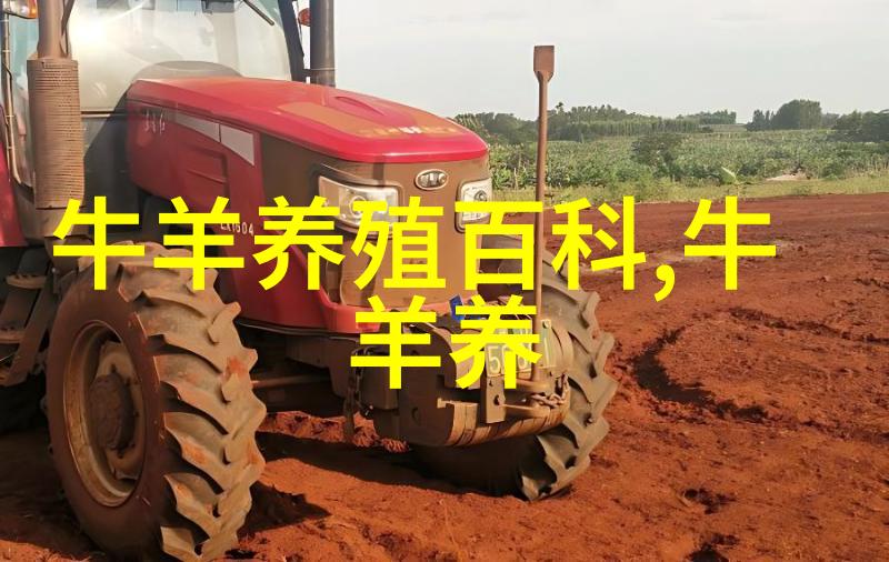 肉牛育肥五诀窍