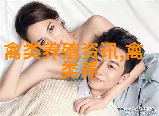 鹌鹑养殖的成本和优势